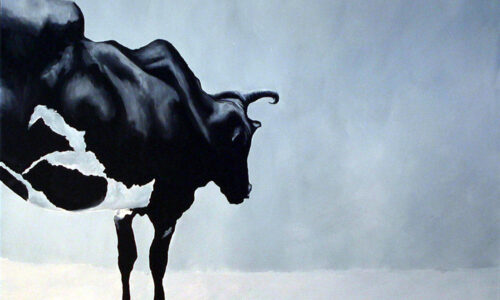 “HUNGER (AFRICAN COW)”
